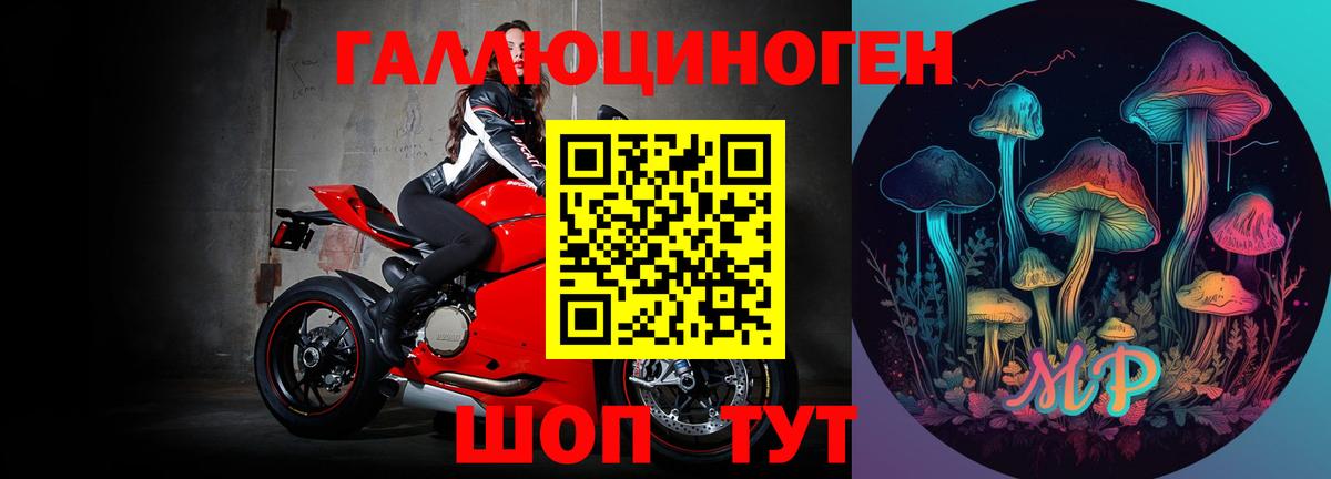 Ейск  купить наркотики цена  Вход с VPN  Галлюциногенные грибы Psilocybine cubensis 